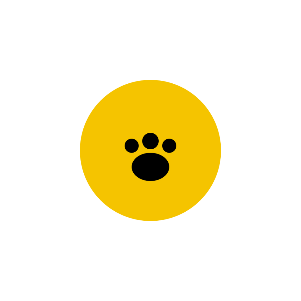 Pet Accessories