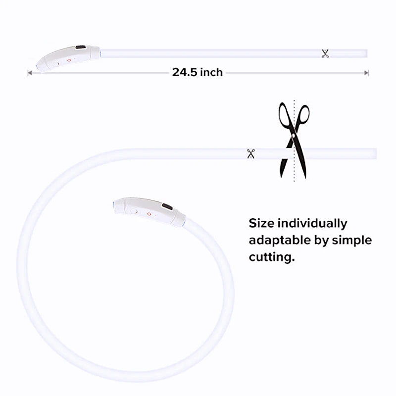 LumiLeash™ – Safety and style in every step