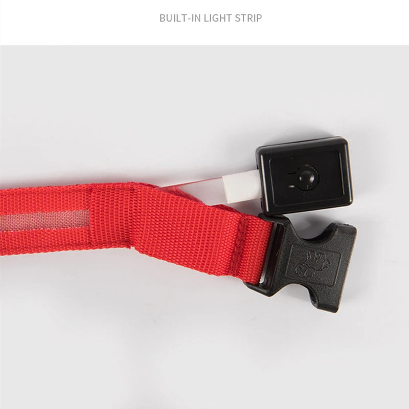 LumiLeash™ – Safety and style in every step