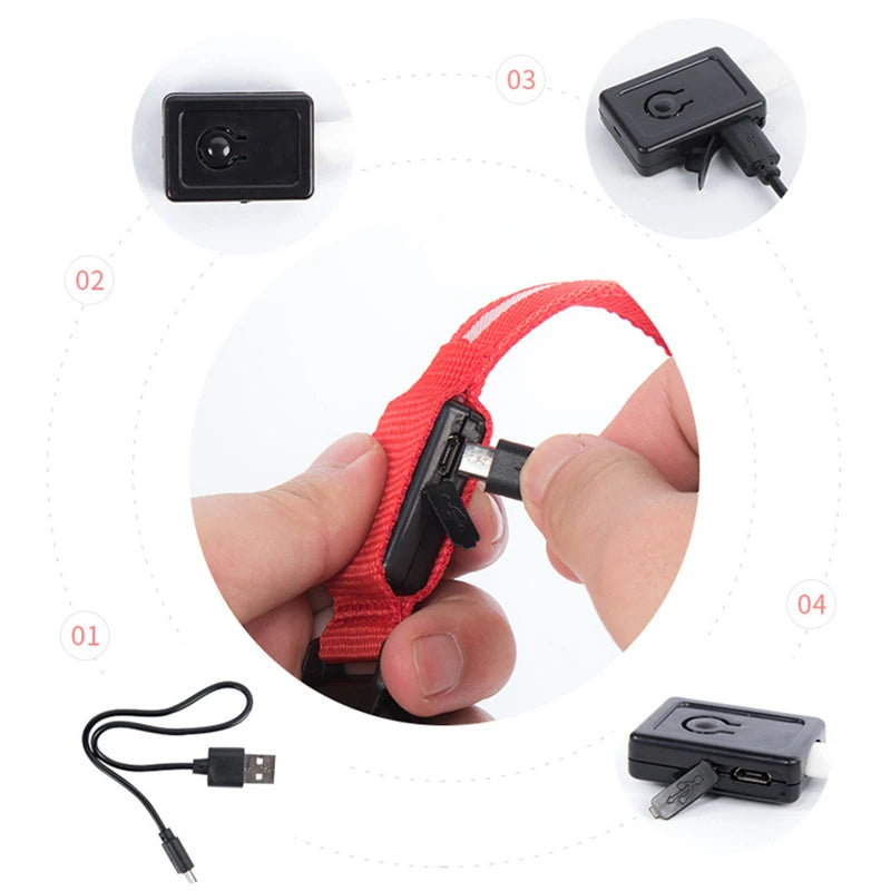LumiLeash™ – Safety and style in every step