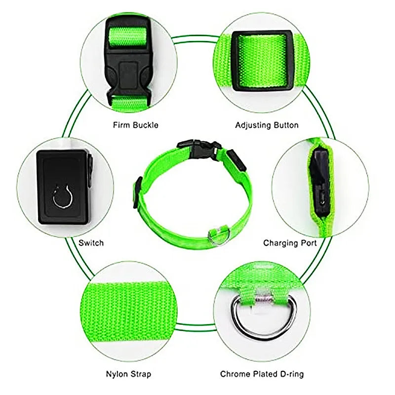 LumiLeash™ – Safety and style in every step
