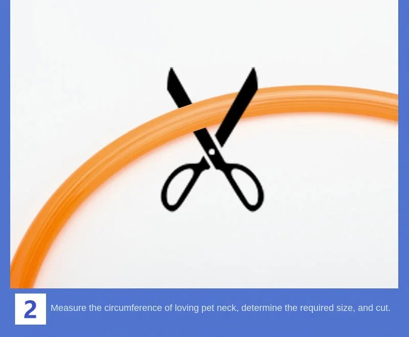 LumiLeash™ – Safety and style in every step
