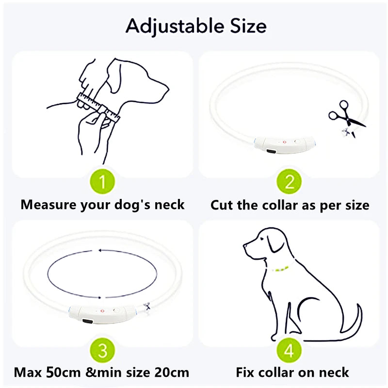 LumiLeash™ – Safety and style in every step