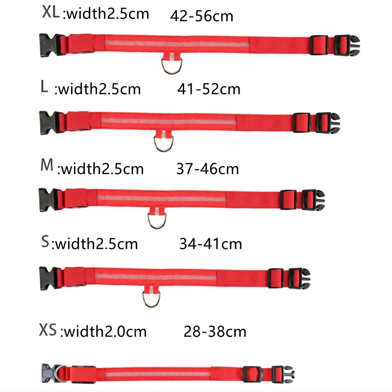 LumiLeash™ – Safety and style in every step