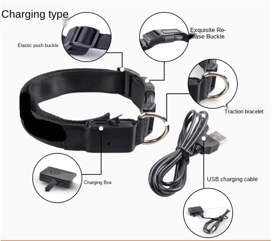 LumiLeash™ – Safety and style in every step