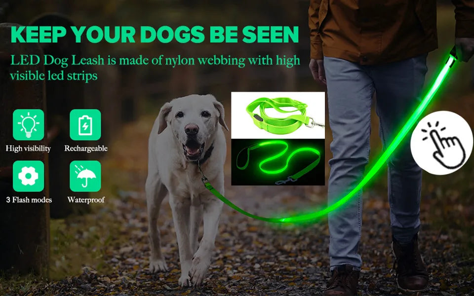 LumiLeash™ – Safety and style in every step