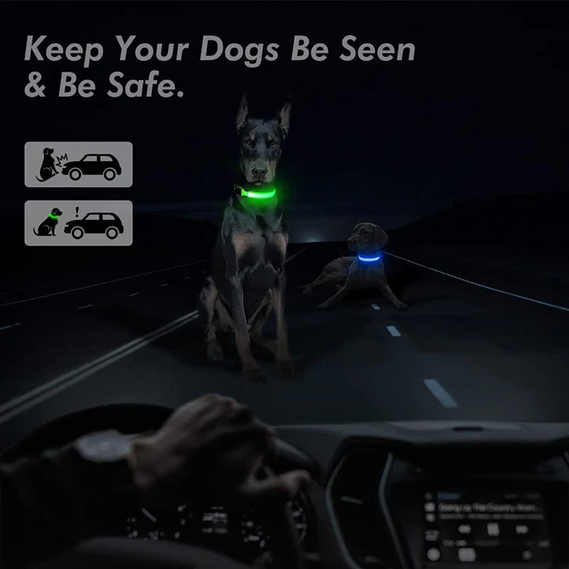 LumiLeash™ – Safety and style in every step